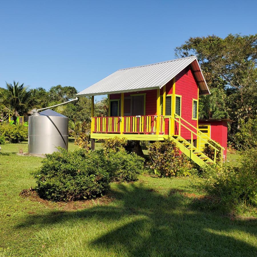 Lower Dover Jungle Lodge & Maya Ruins Unitedville Екстер'єр фото