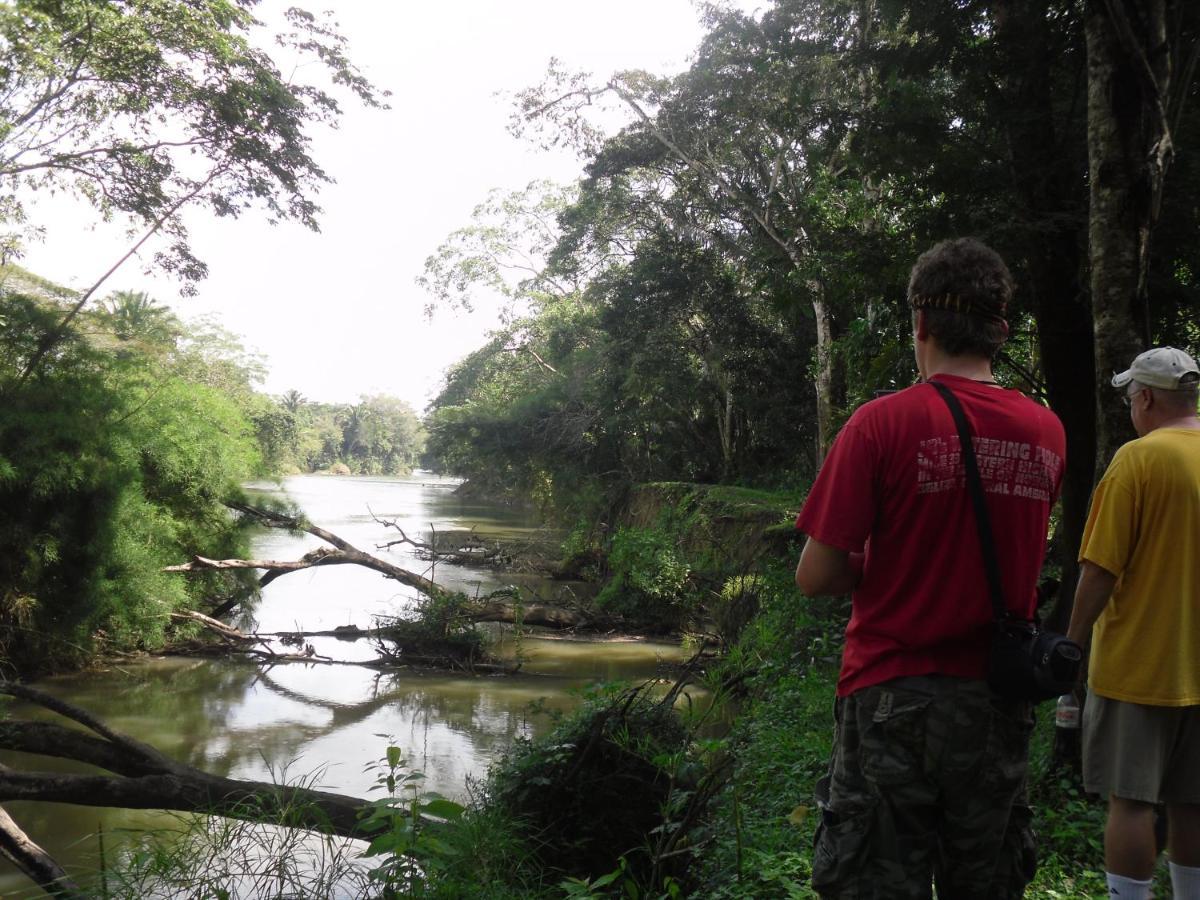 Lower Dover Jungle Lodge & Maya Ruins Unitedville Екстер'єр фото