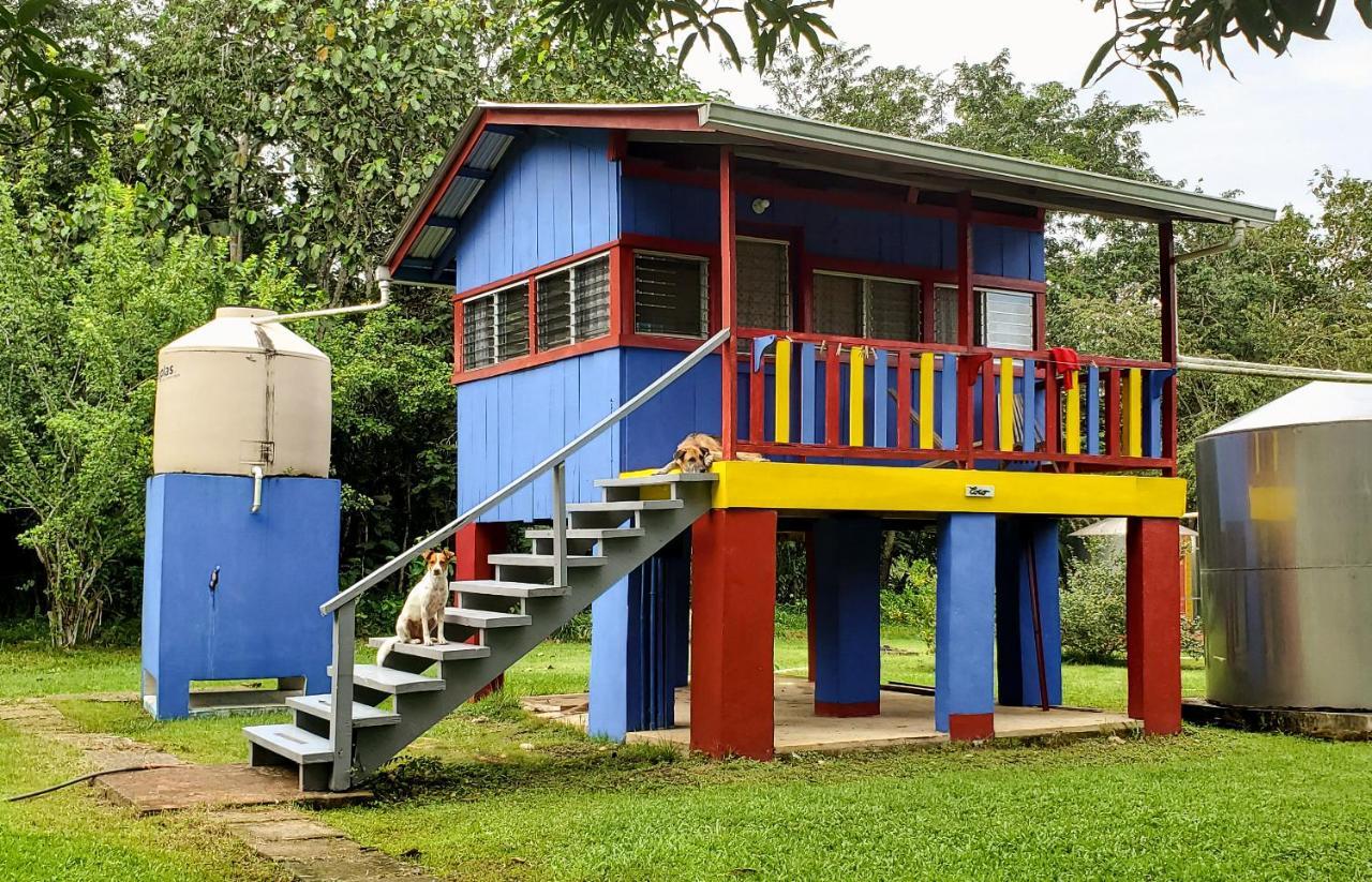 Lower Dover Jungle Lodge & Maya Ruins Unitedville Екстер'єр фото