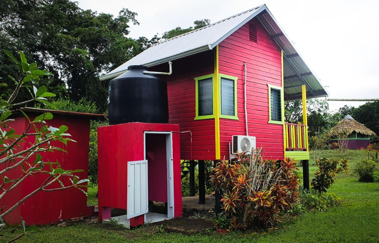 Lower Dover Jungle Lodge & Maya Ruins Unitedville Екстер'єр фото