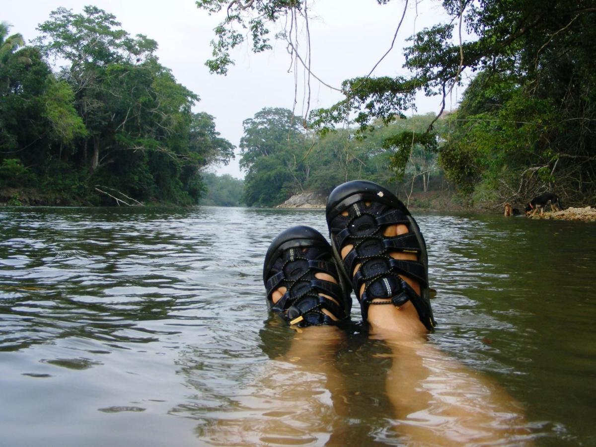 Lower Dover Jungle Lodge & Maya Ruins Unitedville Екстер'єр фото