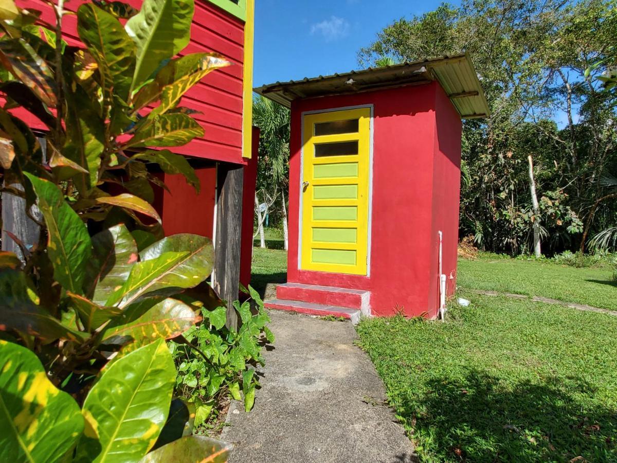 Lower Dover Jungle Lodge & Maya Ruins Unitedville Екстер'єр фото