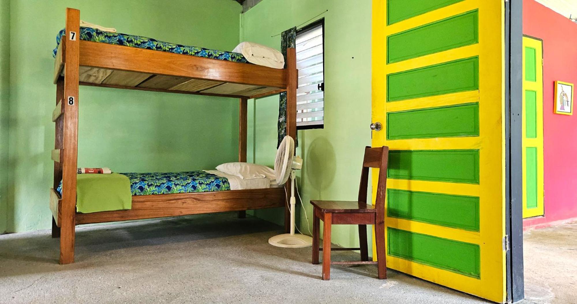 Lower Dover Jungle Lodge & Maya Ruins Unitedville Номер фото