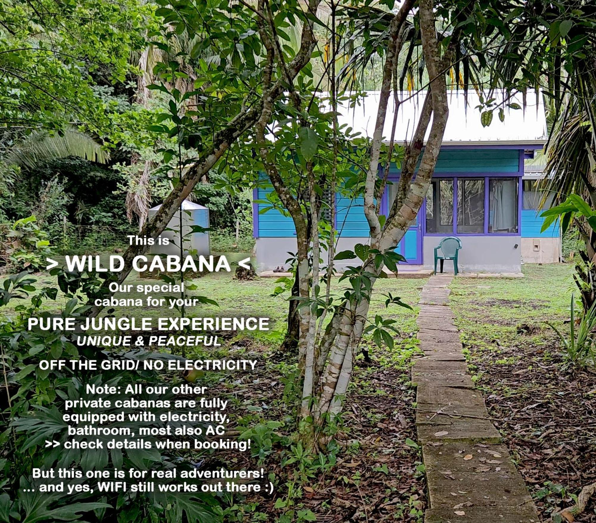 Lower Dover Jungle Lodge & Maya Ruins Unitedville Номер фото