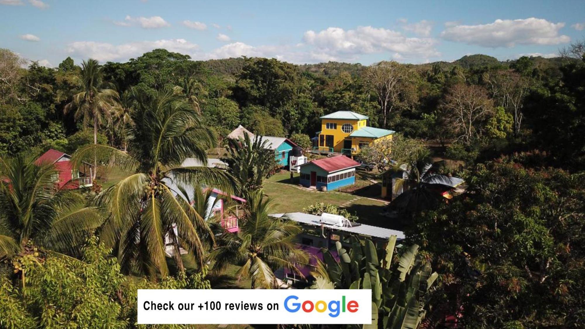 Lower Dover Jungle Lodge & Maya Ruins Unitedville Екстер'єр фото