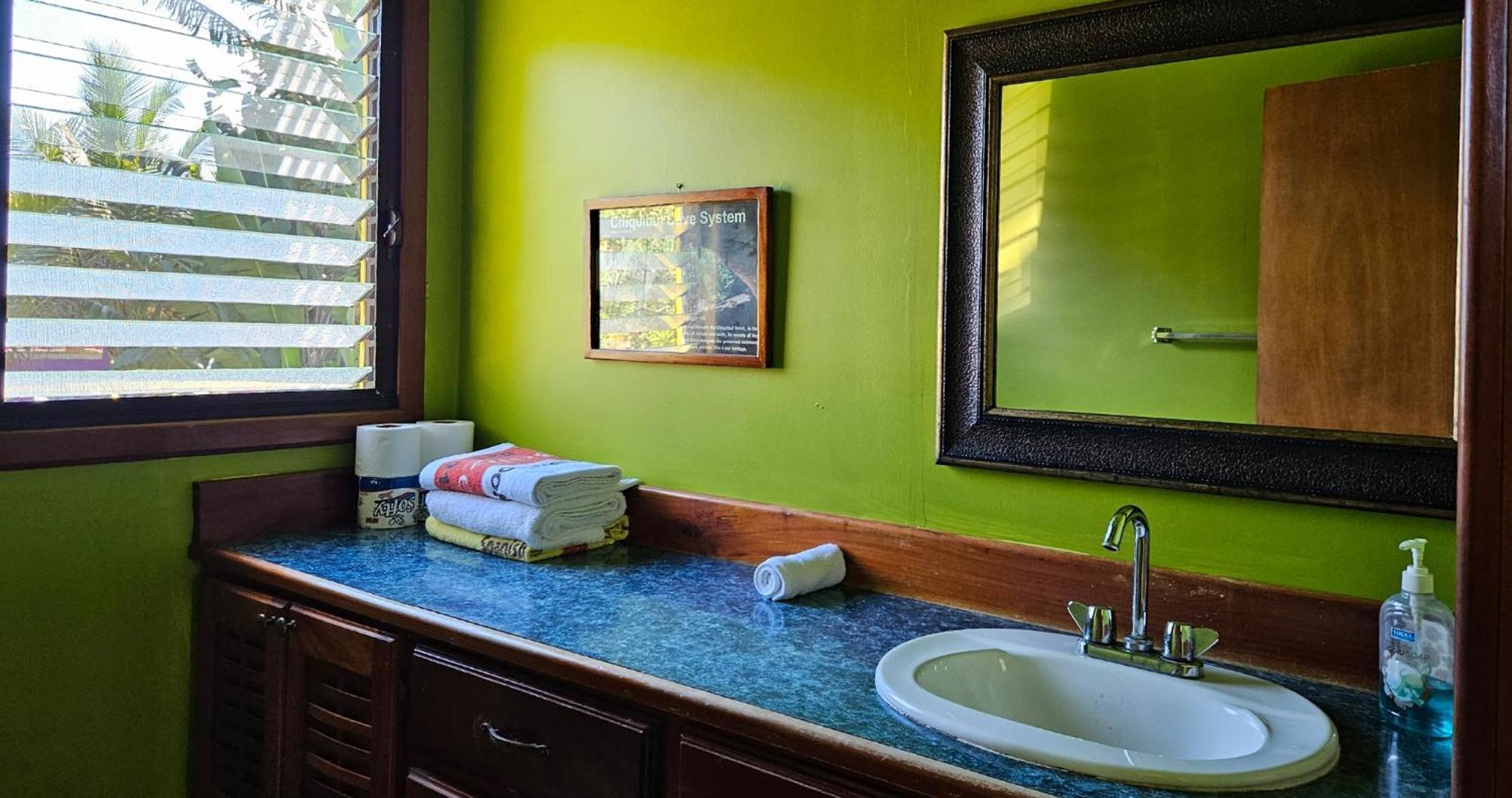 Lower Dover Jungle Lodge & Maya Ruins Unitedville Номер фото