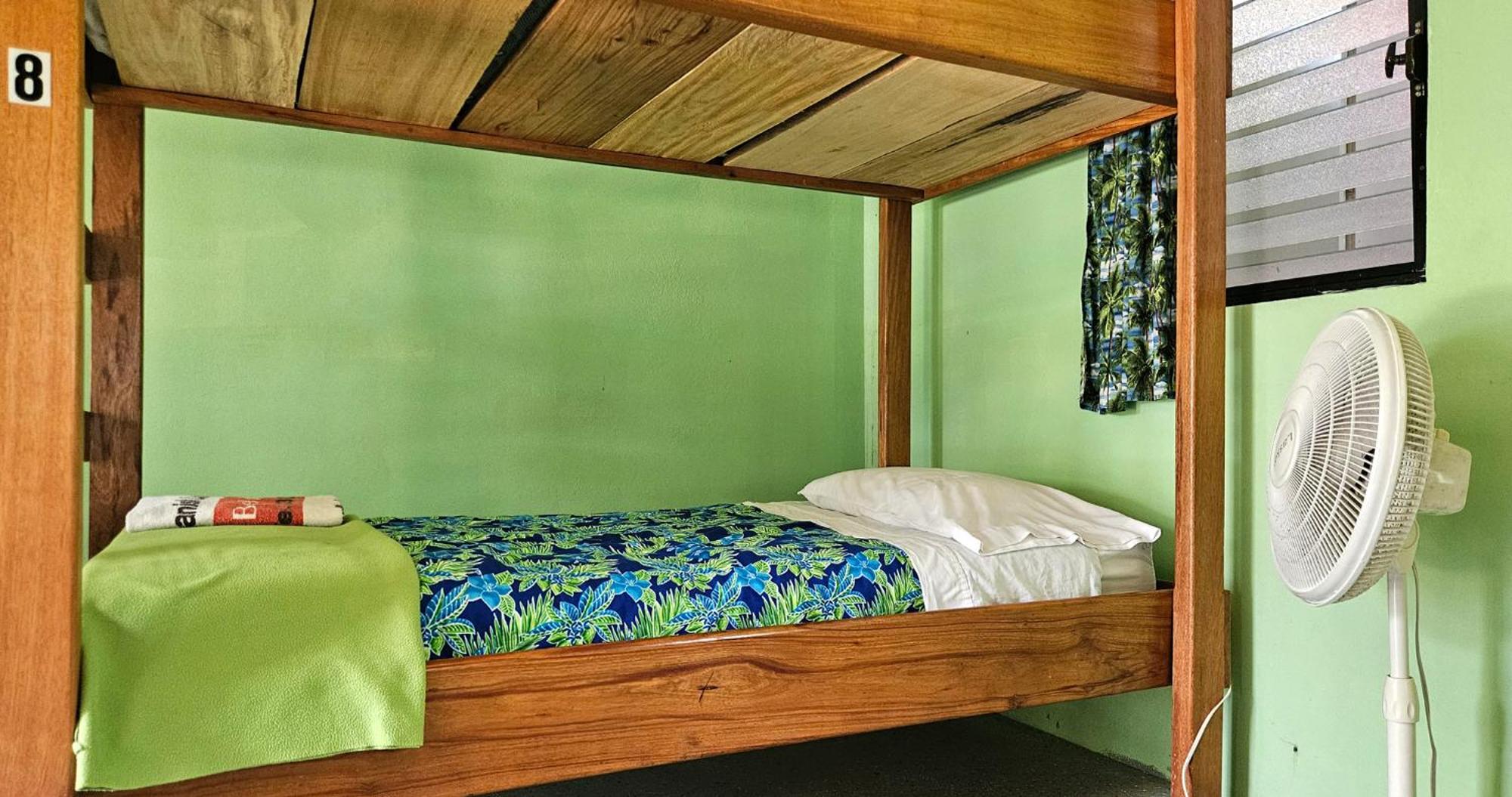 Lower Dover Jungle Lodge & Maya Ruins Unitedville Номер фото