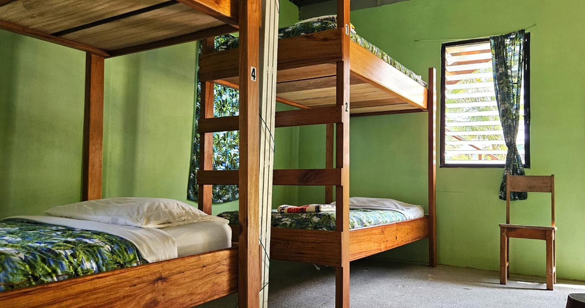 Lower Dover Jungle Lodge & Maya Ruins Unitedville Номер фото