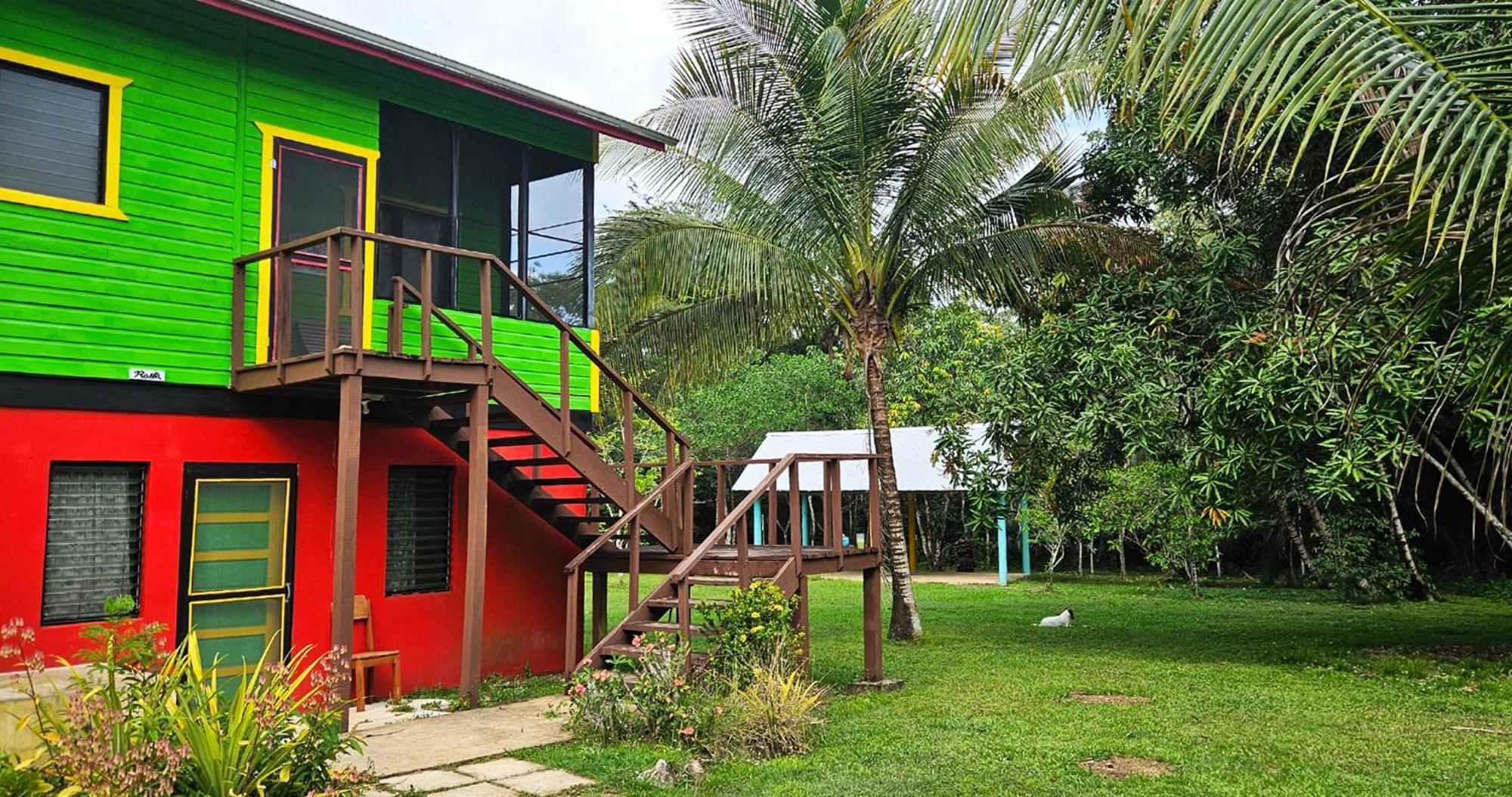 Lower Dover Jungle Lodge & Maya Ruins Unitedville Номер фото