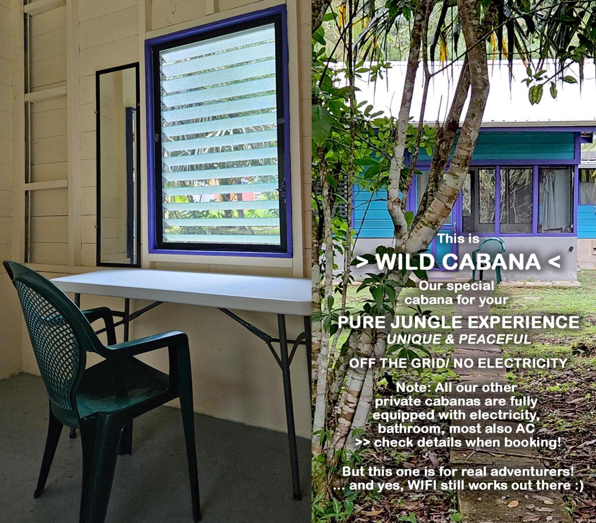 Lower Dover Jungle Lodge & Maya Ruins Unitedville Номер фото
