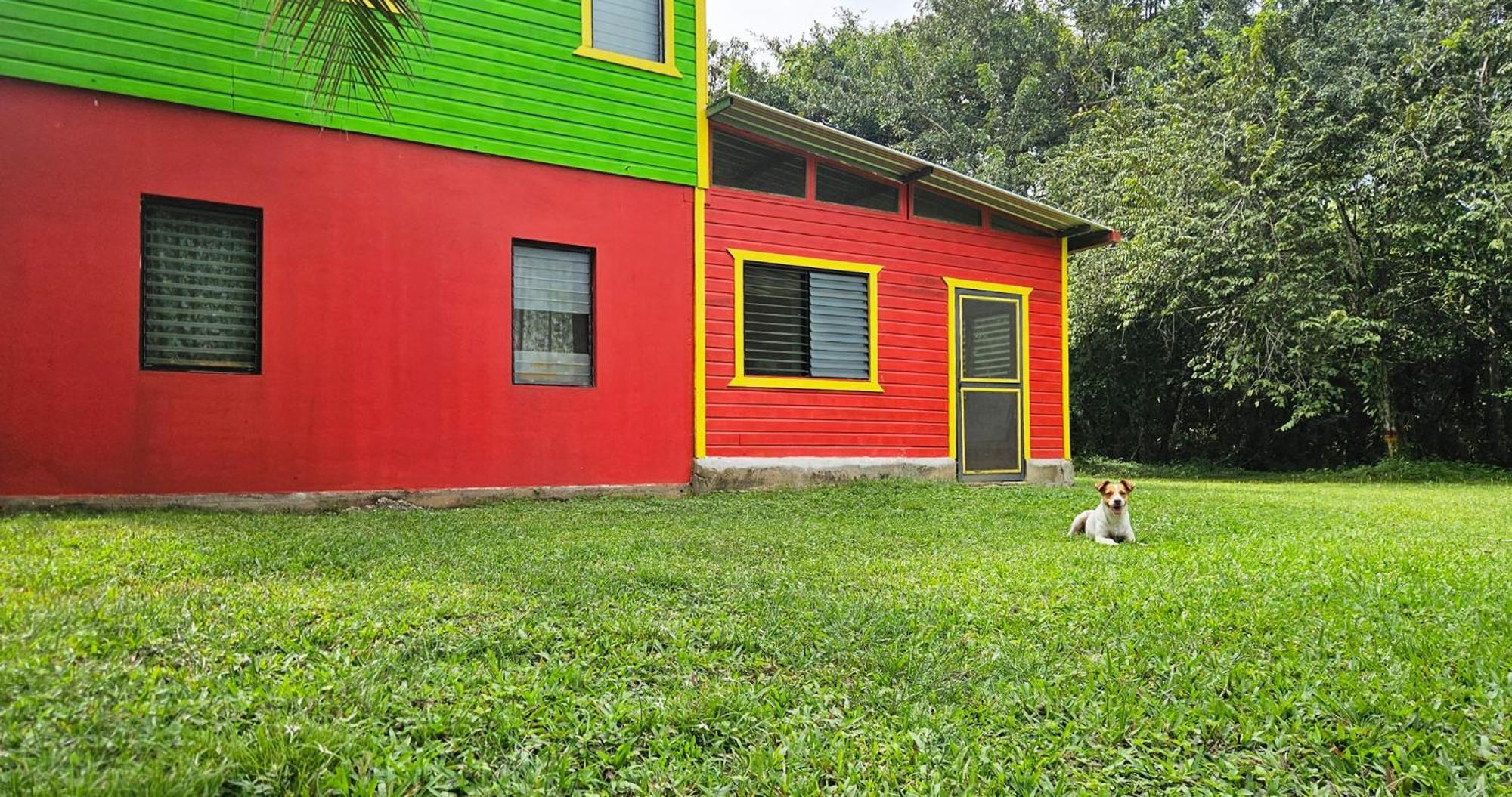 Lower Dover Jungle Lodge & Maya Ruins Unitedville Номер фото