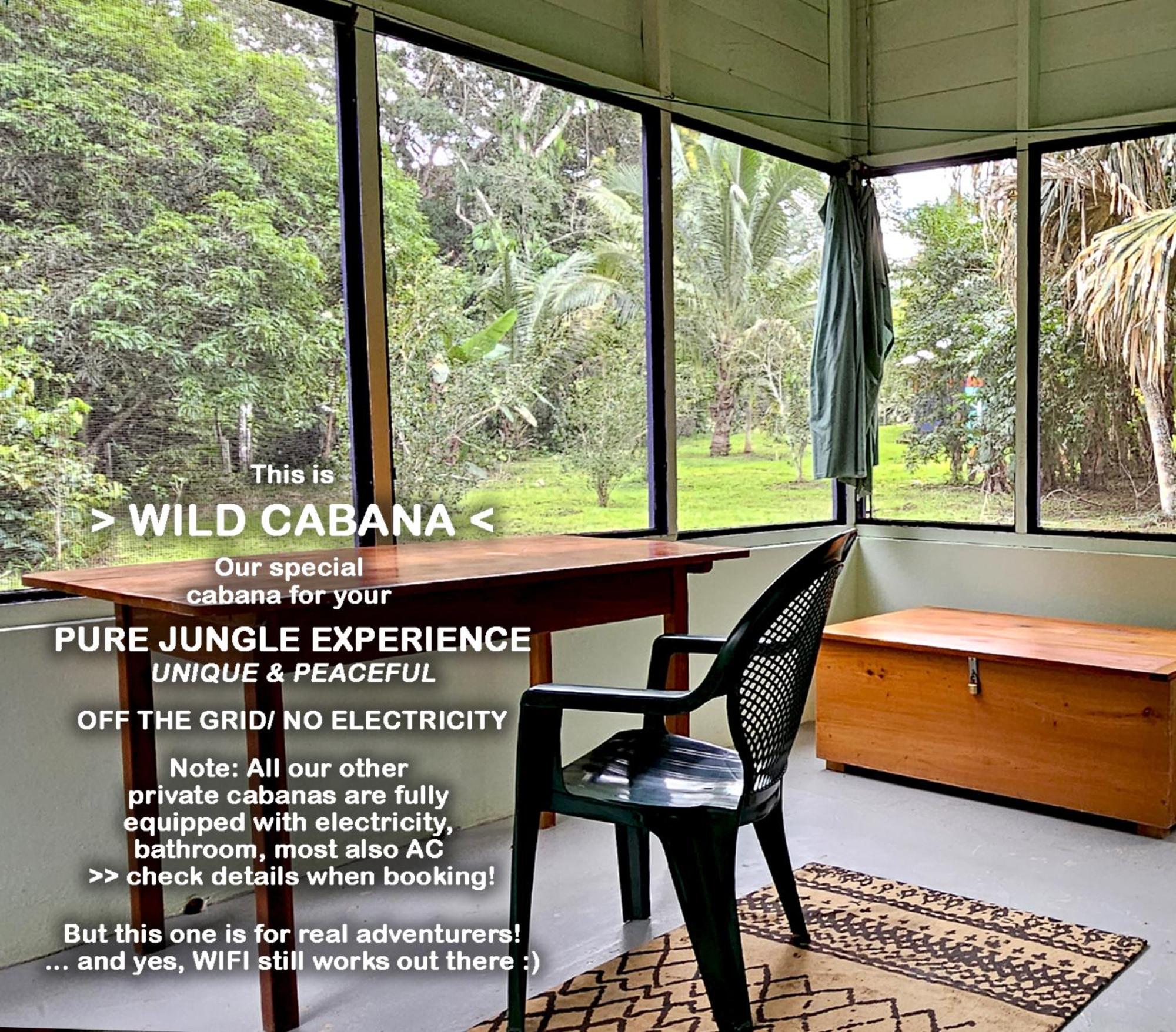 Lower Dover Jungle Lodge & Maya Ruins Unitedville Номер фото