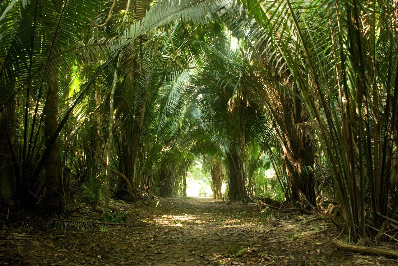Lower Dover Jungle Lodge & Maya Ruins Unitedville Екстер'єр фото