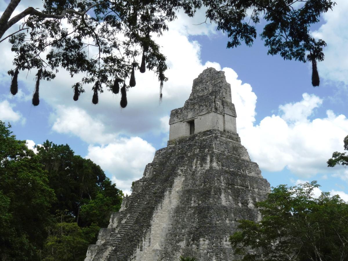 Lower Dover Jungle Lodge & Maya Ruins Unitedville Екстер'єр фото