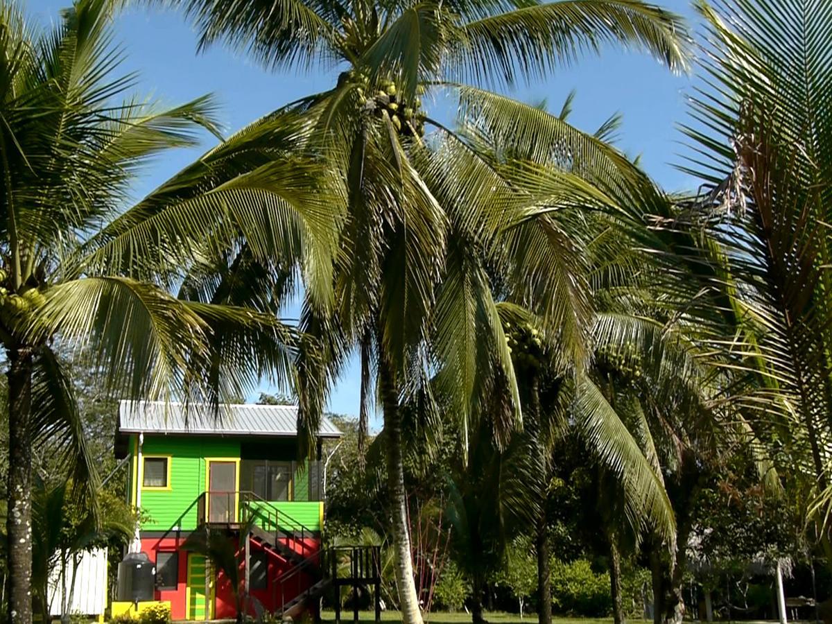Lower Dover Jungle Lodge & Maya Ruins Unitedville Екстер'єр фото